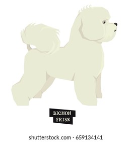 Dog collection Bichon Frise Geometric style Isolated object