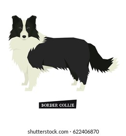 Dog collection Border Collie Geometric style Isolated object