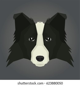 Dog collection Border Collie Geometric style Avatar