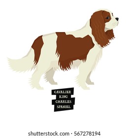 Dog collection Cavalier King Charles Spaniel Geometric style