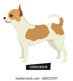 Dog collection Chihuahua Geometric style