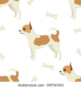 Dog collection Chihuahua Seamless pattern