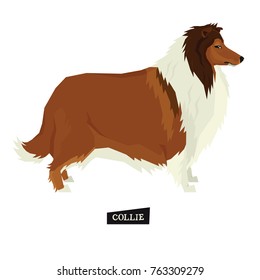 Dog collection Collie dog Geometric style Isolated object