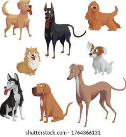 Dog collection, different breeds in flat cartoon style, vector illustration, isolated in white