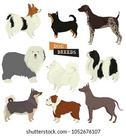 Dog collection Geometric style Vector set 9 breeds of dogs Isolated objects