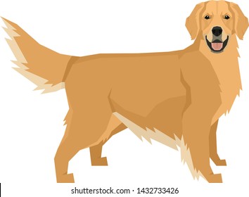 Dog collection Golden Retriever Geometric style Isolated object set