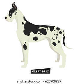 Dog collection Great Dane Geometric style Isolated object