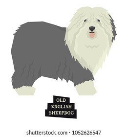 Dog collection Old English Sheepdog Geometric style Isolated object