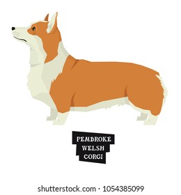 Dog collection Pembroke Welsh Corgi Geometric style Isolated object