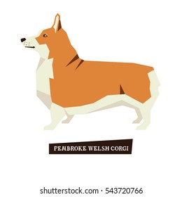 Dog collection Pembroke Welsh Corgi set