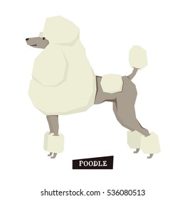 Dog collection Poodle Geometric style set