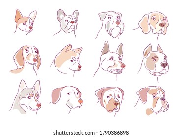 Dog collection. Puppy set. Chihuahua. Bulldog. Zwergschnauzer. Beagle. Dachshund. Akita inu. German shepherd. Pit bull. Husky. Retriever. Rottweiler. A boxer dog. Outline style