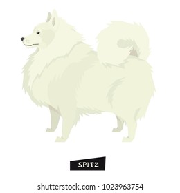 Dog collection Spitz Geometric style Isolated object