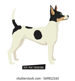 Dog collection Toy Fox Terrier Geometric style