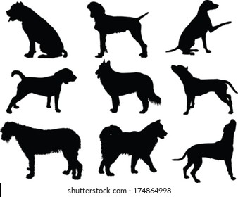 dog collection - vector