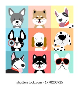 Dog collection. Vector illustration of funny cartoon different breeds dogs in trendy flat style.