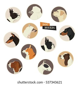 Dog collection. Vector set of 11 dog breeds. Modern Geometric style icon round