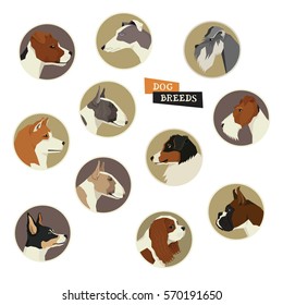 Dog collection. Vector set of 11 dog breeds. Geometric style icon round  