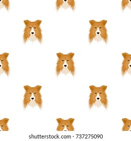 Dog, Collie breed, Scottish Shepherd. Muzzle Collie single icon in cartoon style vector symbol stock illustration web.