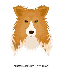 Dog, Collie breed, Scottish Shepherd. Muzzle Collie single icon in cartoon style bitmap,raster symbol stock illustration web.
