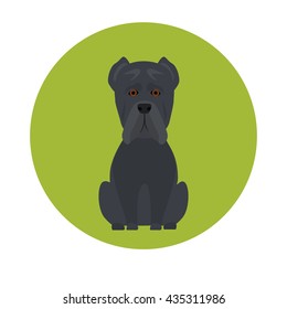 Dog color flat icon
