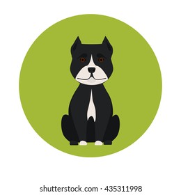 Dog color flat icon