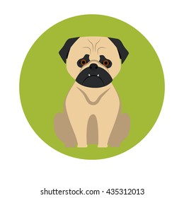 Dog color flat icon