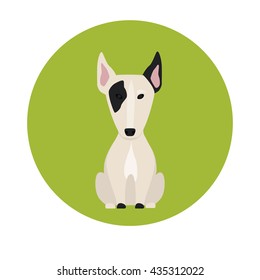 Dog color flat icon