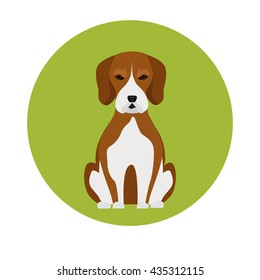 Dog color flat icon