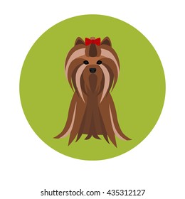 Dog color flat icon