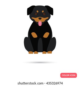 Dog color flat icon