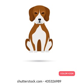 Dog color flat icon