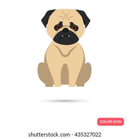 Dog color flat icon