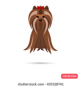Dog color flat icon