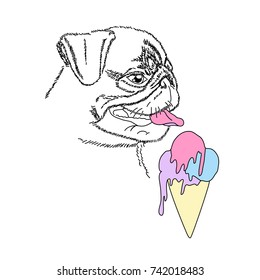 Dog with colorful ice cream. Cute pug portrait. Vector illustration.