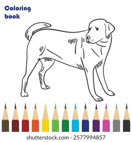 dog coloring book design illustration 