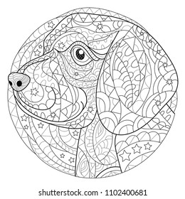 Dog Coloring Page