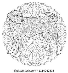 Dog Coloring Page