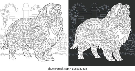 Dog. Coloring Page. Coloring Book. Colouring picture with rough collie drawn in zentangle style. Antistress freehand sketch drawing. Vector illustration.