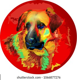 Dog colourful vector illustration isolated on white background