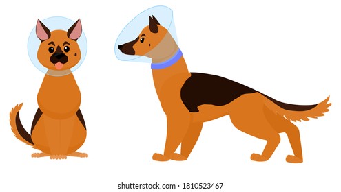 dog cone, cartoon dog with elizabethan collar isolated on white background. Plastic cone of Shame vector illustration