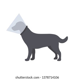 Dog with a cone, protective collar, vector