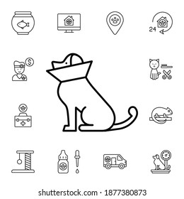 Dog, cone of shame flat vector icon in petshop pack