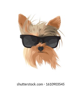 Dog Cool With Glassess Vector Illustration