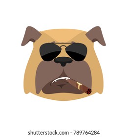 Dog Cool serious avatar of emotions. Pet smoking cigar emoji. bulldog strict. Vector illustration