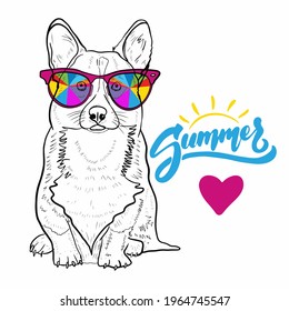 dog corgi breed drawn with a black line with multi-colored accessories glasses and text.