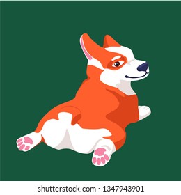 dog Corgi, cartoon style, vector, lies