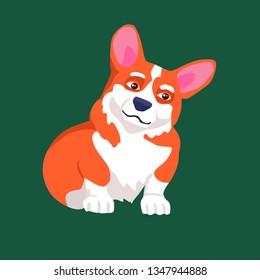 dog Corgi, cartoon style, vector, sitting