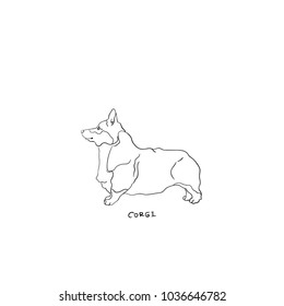 dog, corgi, hand drawn illustration.