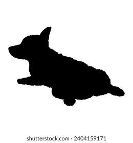 Dog Corgi lies silhouette Breeds Bundle Dogs on the move. Dogs in different poses. High quality 
The dog jumps,  runs. sitting. The dog is lying down playing